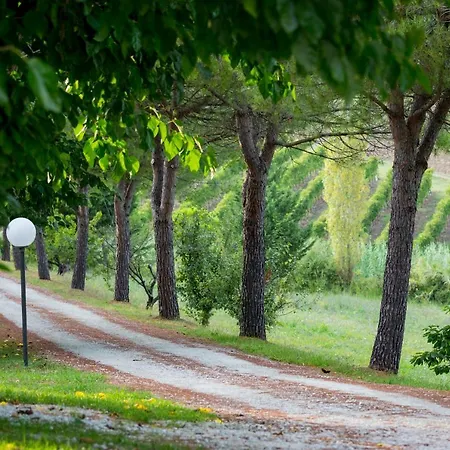 Villa Ca' Viola Rimini