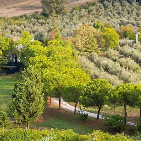 Villa Ca' Viola Bed & Breakfast Rimini