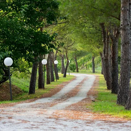 Villa Ca' Viola Bed & Breakfast *